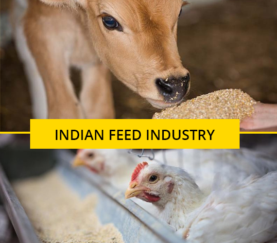 INDIAN-FEED-INDUSTRY